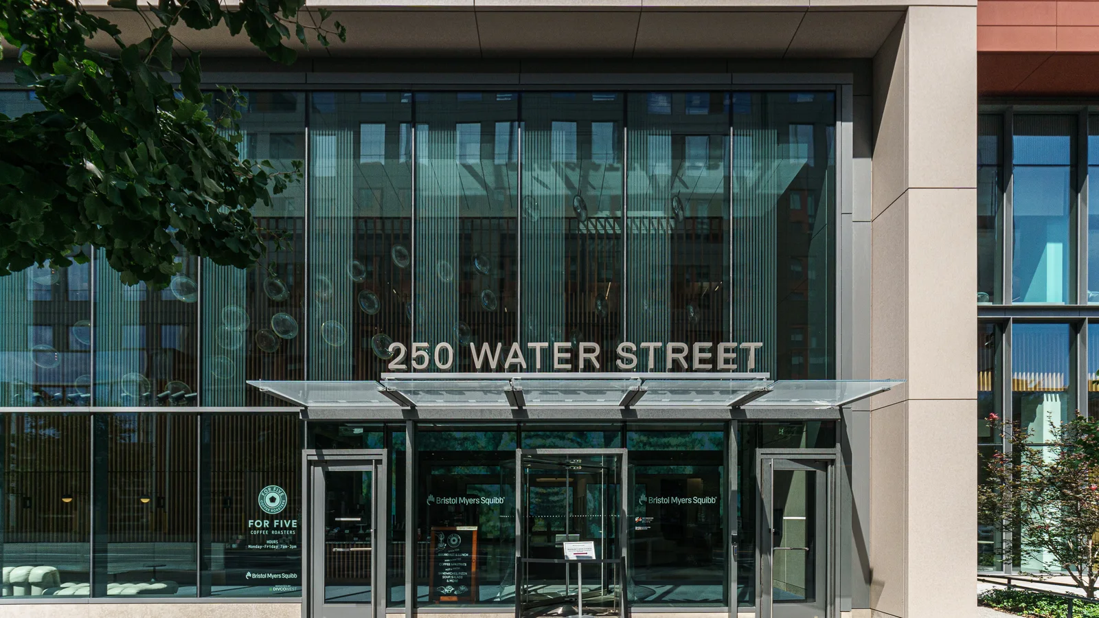 Стеклянный вход офисного здания с надписью 250 Water Street над козырьком, слева ветви дерева