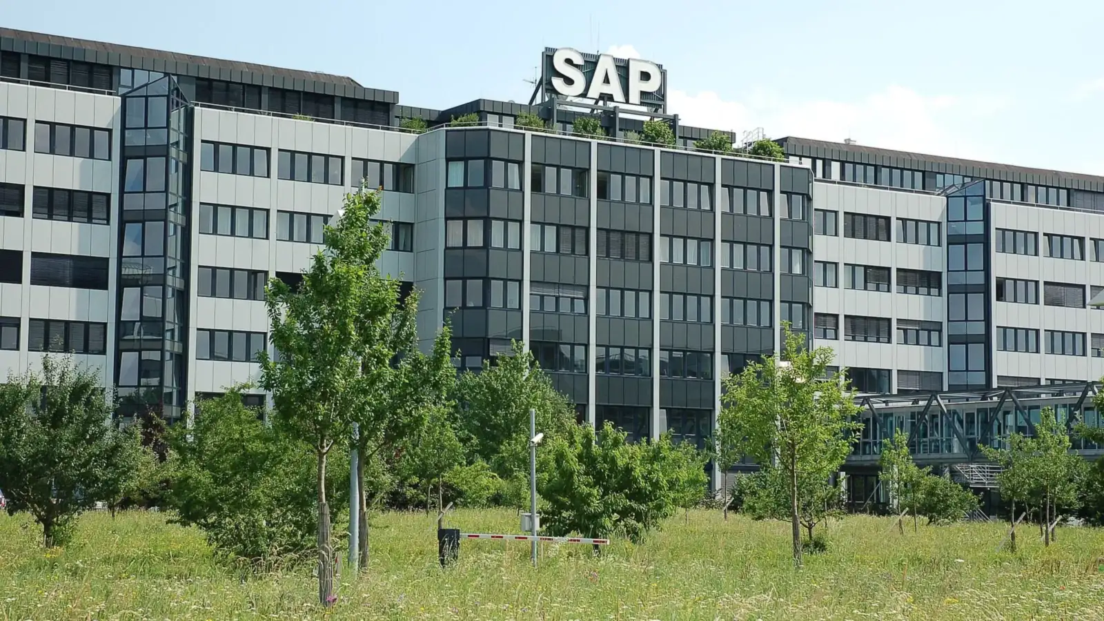 Офисное здание с крупными буквами SAP на крыше, перед ним молодые деревья и трава